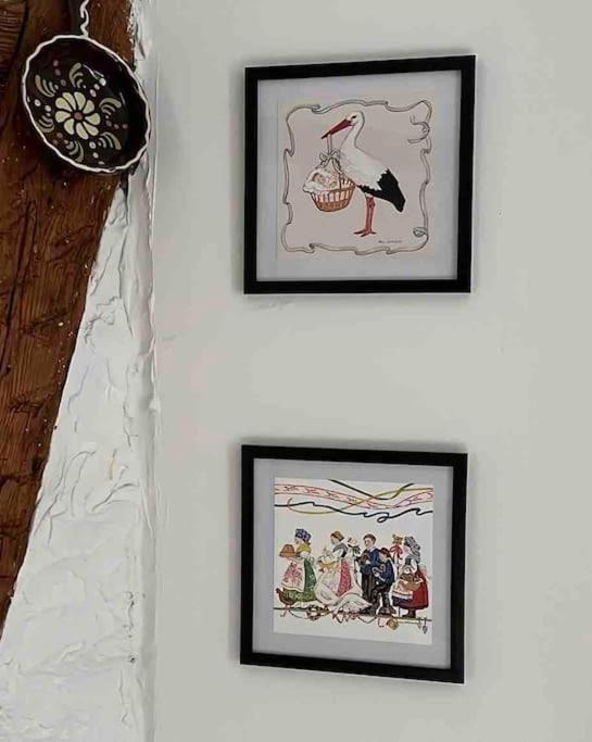 Nouvel Appartement, Le Colombage Heureux ซิลิสตาต์ ภายนอก รูปภาพ